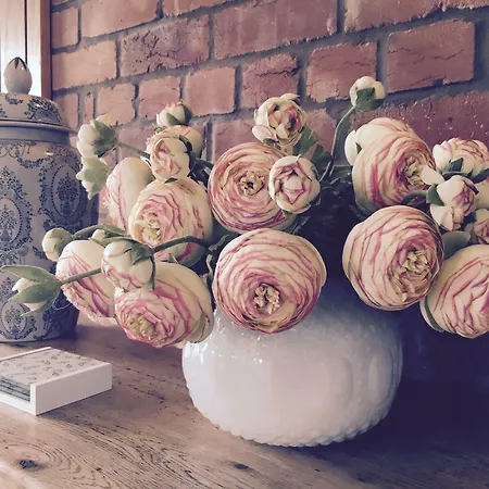 Hotel Lyth Valley - Ridgestone